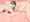 千夜ちゃんシャロちゃん