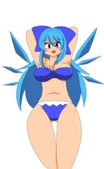 水着のチルノおねぇちゃん