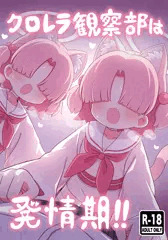 C108新刊