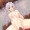 反転攻勢肉笠さん