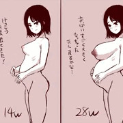 今日のおかず16「妊娠経過」