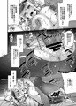C89グラーフ本サンプル