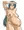 てすと