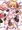 ラッピングわん娘