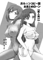 ガル☆ンコピー誌おまとめローン