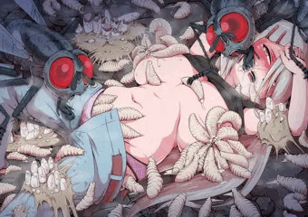 蟲姦