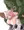 オークの町で盗みを働いて苦労している猫娘