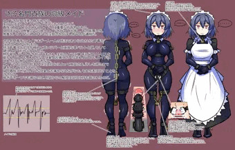 さる名門貴族の高級メイド