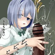knシコ