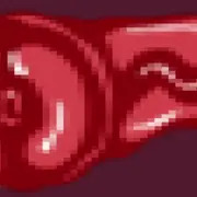 ハプウ腸内断面図