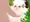 メリノちゃんとなかよし