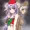 干支神サンタさん