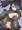 ハシブトガラス