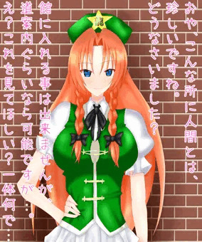 変脳紅魔館～紅美鈴～