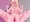 ダクネスとしっぽり