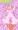 AMIDAちゃん
