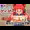 東方サードゲイザー