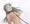 首輪系女子