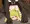 セレナさん