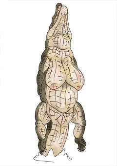 wani hentai