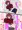 【男向落書き】ルナマリアにスカートめくり胸揉みセクハラ2