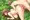 リク絵「さくら荘のペットな彼女」