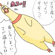 shrilling chicken
