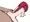 ベロニカ パンパン ラフ