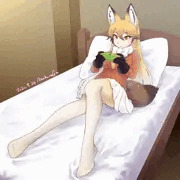 キタキツネ
