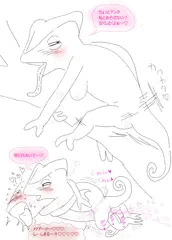 エロカメレオン