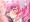 プリチャンえっち絵の超まとめ