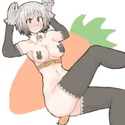 ニプレスバニー