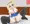 びしょびしょアリス