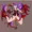 靴うんち