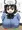 えっきしに対応したアライさん