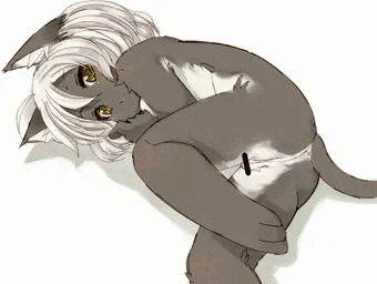 すーじー