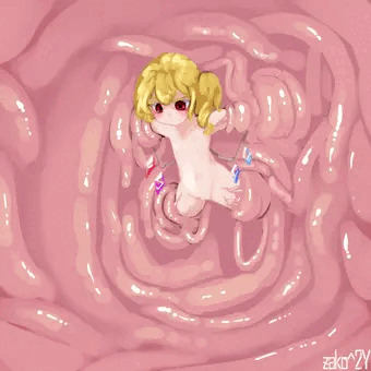 膨乳フランちゃん極