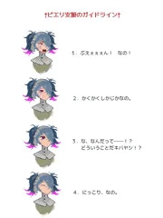 ピエリ支援のガイドライン