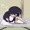 うさこーび