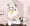 こんなバイトだとは聞いてなかった子