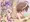 E交Y女
