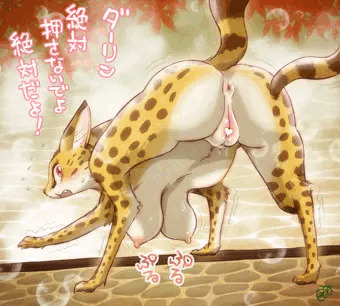 温泉に初挑戦のサーバルちゃん