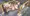 ガードレールに固定。