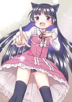 黒猫