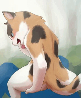 けもつめ