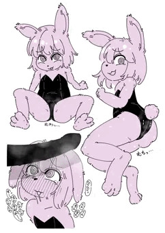 バニーの日