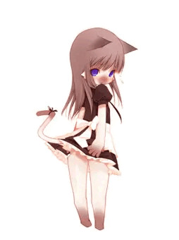 見えてしまうのは仕方が無いのです