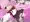 『TS魔法少女ラブリィ・ルビア』