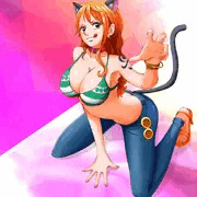 ワンピース　ナミさんは泥棒猫