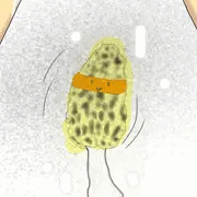 トレスポップくん